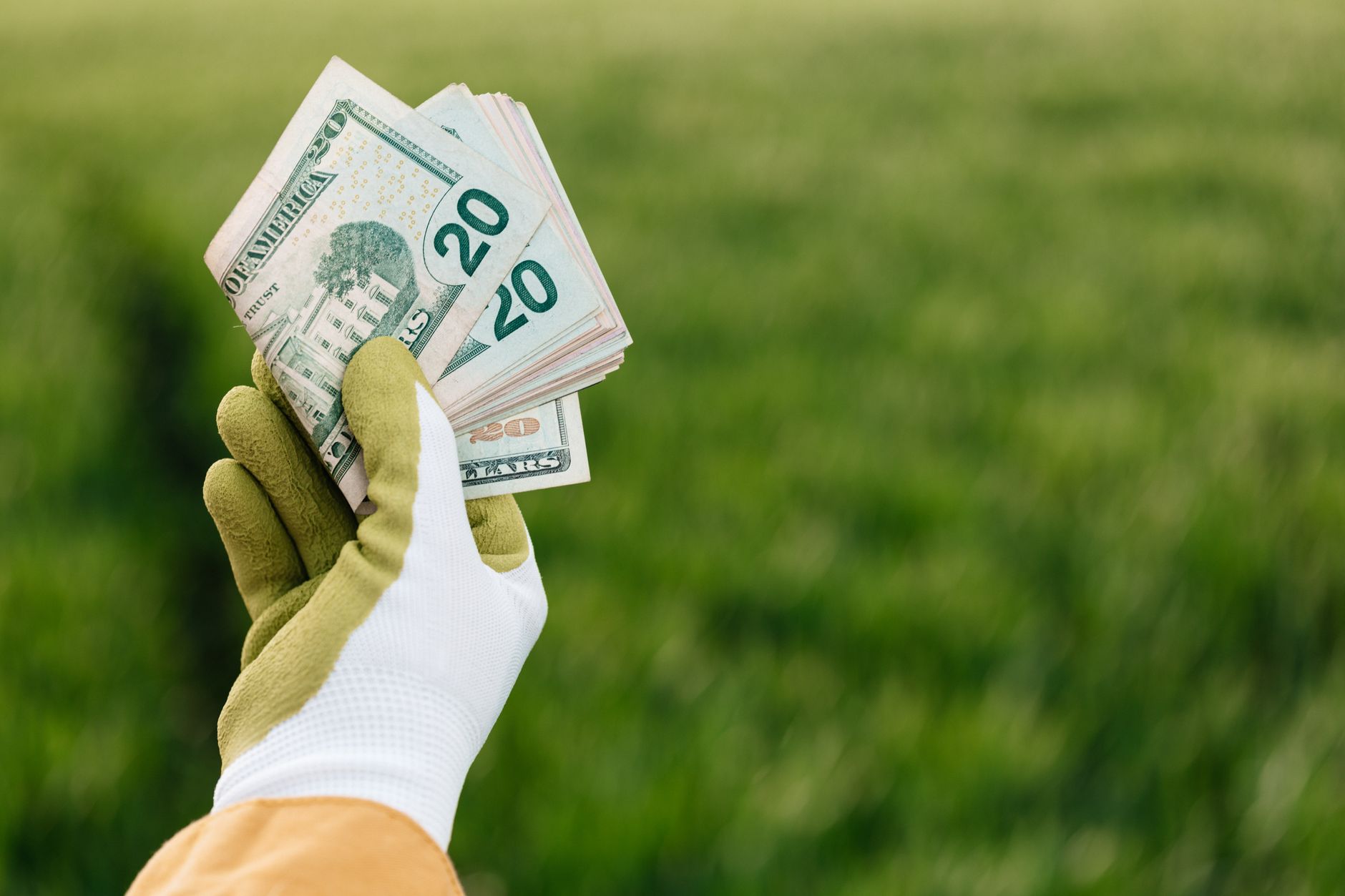 General Mills earnings