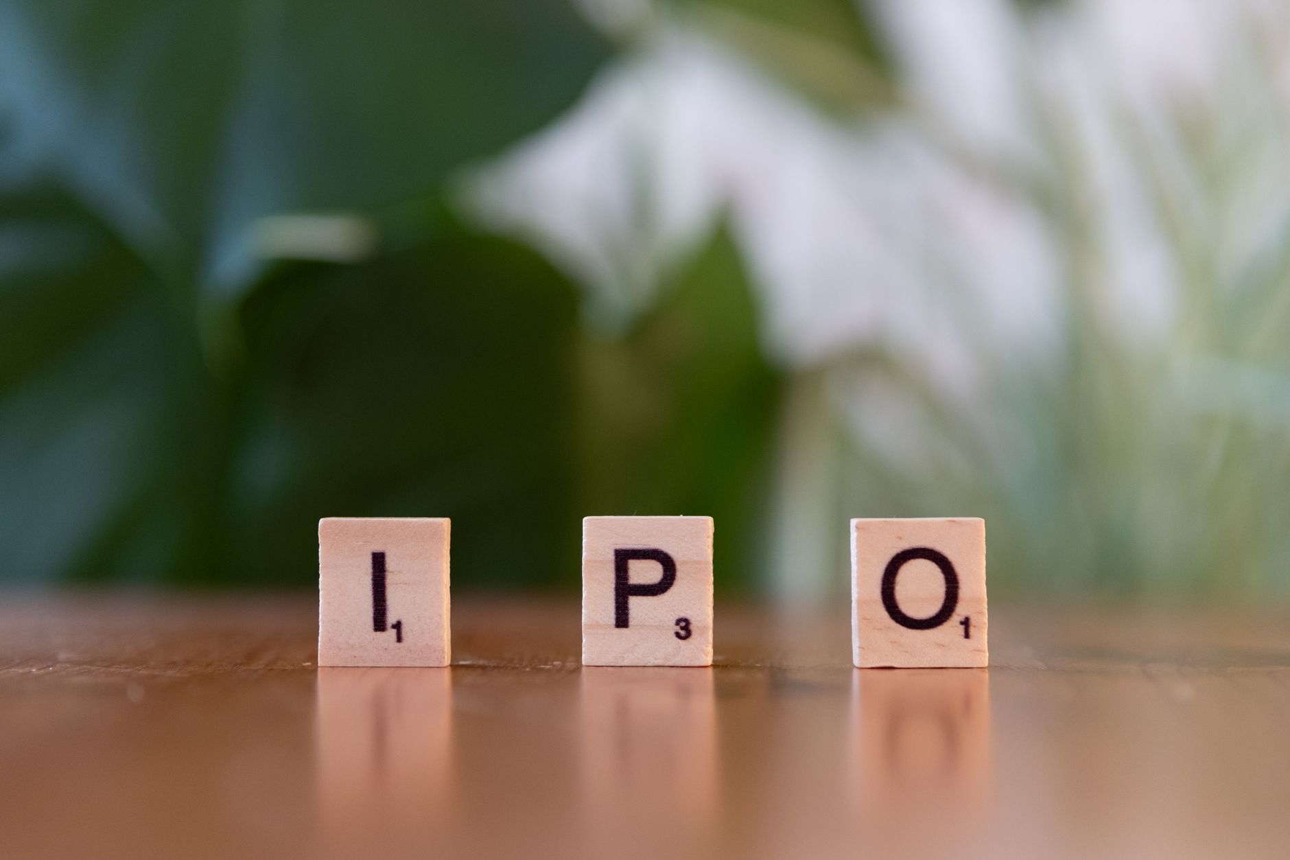 NSE IPO investment details